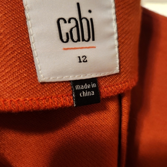 CAbi Asymmetrical Layered Skirt in Rust - Picture 6 of 9